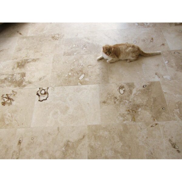 Ivory ONYX HF 40,6cm x 40,6cm x 1,2cm