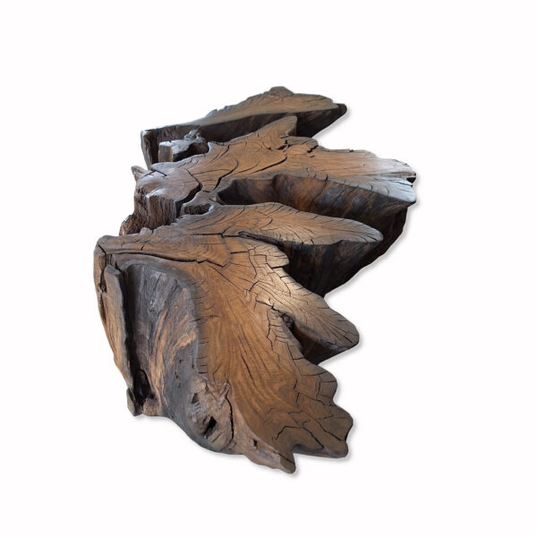 Stolik Kawowy Z Korzenia Czarnego Dębu Na Kółkach