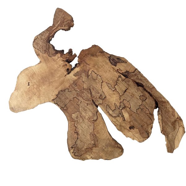 Naturalna Rzeźba Ścienna