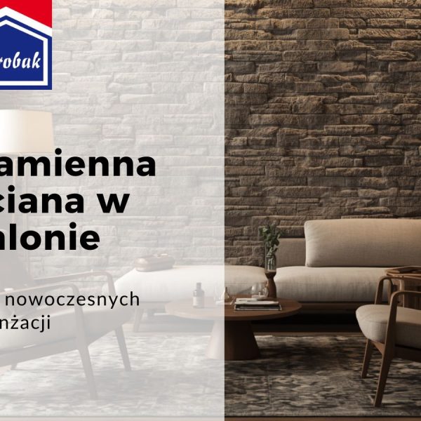 kamień-naturalny-na-ścianę