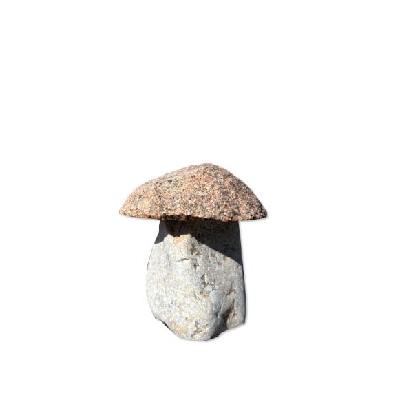 Grzybek Z Kamienia Polnego
